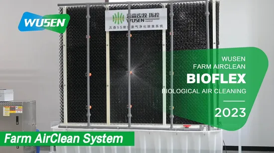 목재 단단한 신발 밑창 청소 브러시 ​​PP 헤어 중간 브러시